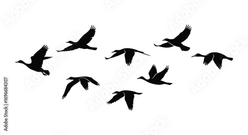 birds flying in formation against clear sky silhouette