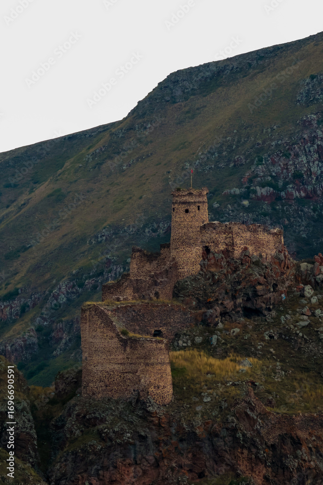 Naklejka premium castle