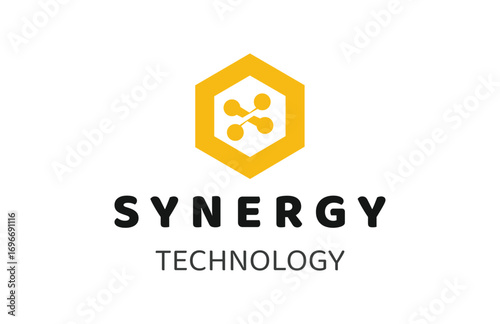 Hexagon S Logo Icon