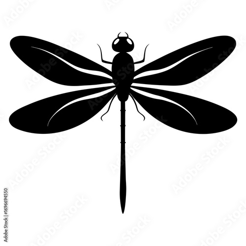 Silhouette of dragonfly hovering overhead detailed insect design vector