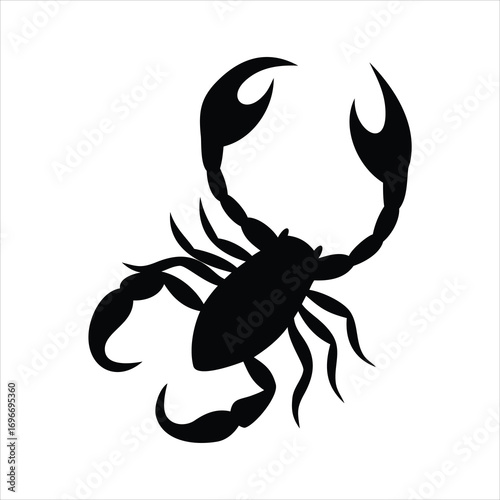 Black silhouette of a scorpion on a white background