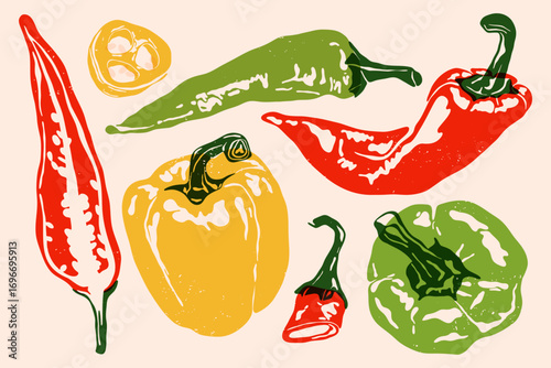 Pepper set. Jalapeno sweet chili bell pepper, ripe sweet paprika, vintage organic farm vegetables, garden harvest food for design, veggie market drawing print. Vector collection