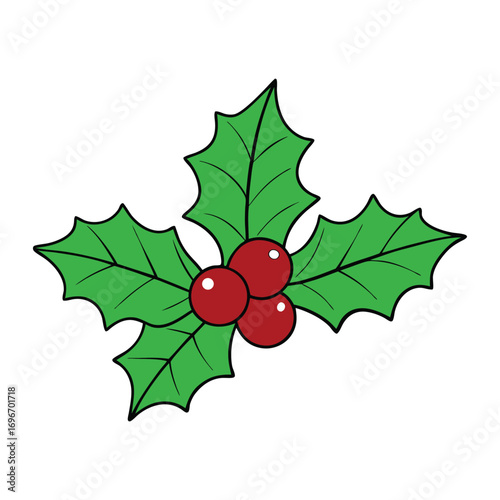Festive Christmas holly with glossy green leaves and bright red berries, symbolizing holiday cheer, joy, and tradition in seasonal décor and celebrations.
