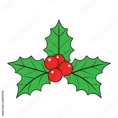 Festive Christmas holly with glossy green leaves and bright red berries, symbolizing holiday cheer, joy, and tradition in seasonal décor and celebrations.
