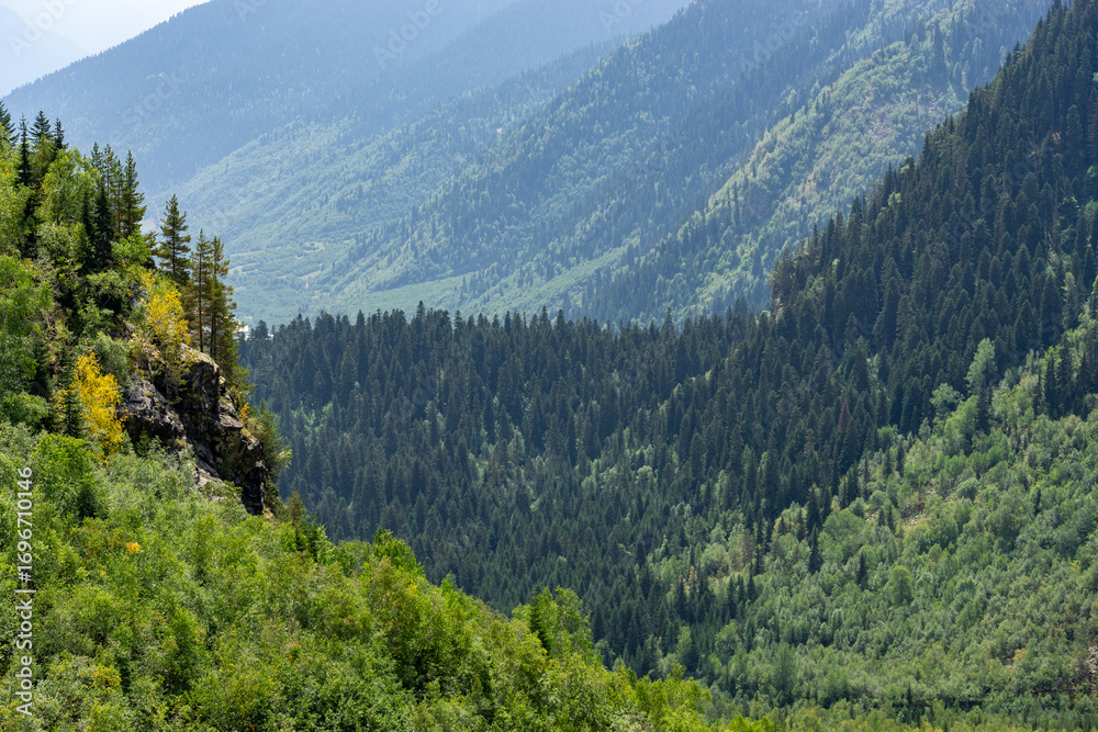Fototapeta premium Breathtaking view of green mountains and valleys in Georgia, Caucasus