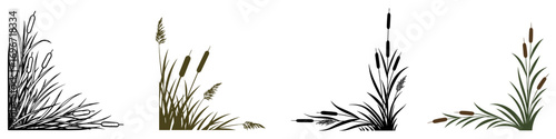 Set of corner page dividers featuring reeds and leaves on a transparent background