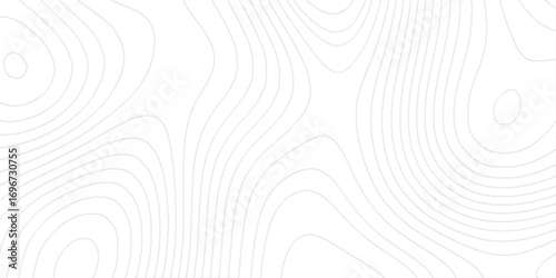Topological tapestry of heights valleys contours delineate, The gray on white contours vector topography stylized height of the lines, sea map and mounted map area space geometrics line.