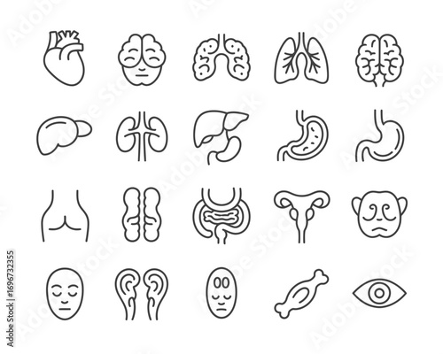 Set of thirty medical organ line icons for healthcare and science illustration vector graphic