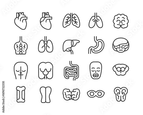 Vector line icons set of human organs medical illustration scalable eps for design