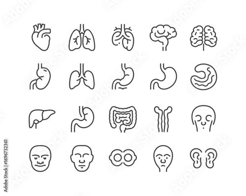 Scalable vector icons set of human organs medical illustration for healthcare and science