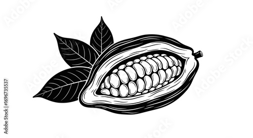 The rich history and cultivation of cocoa beans essential for delicious chocolate