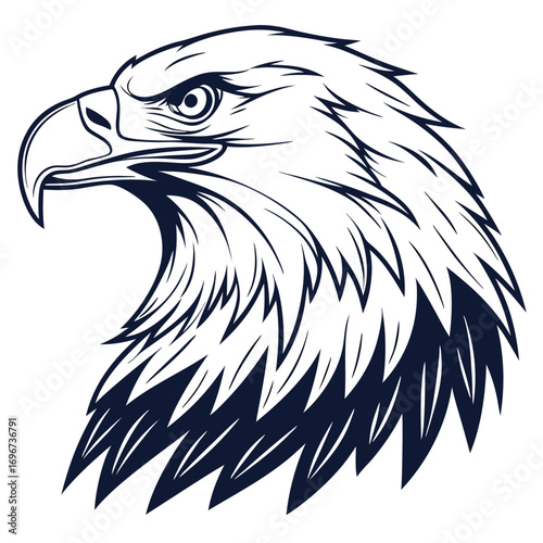 Fierce Bald Eagle Head Profile Line Art Illustration on White Background bird raptor