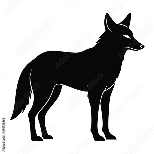 Silhouette of a standing coyote with sharp features and a bushy tail animal wild
