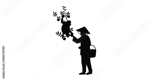 a man feeding a koala on tree silhouette