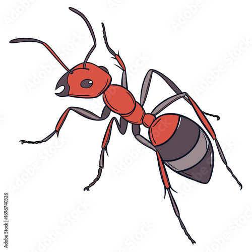 Red ant
