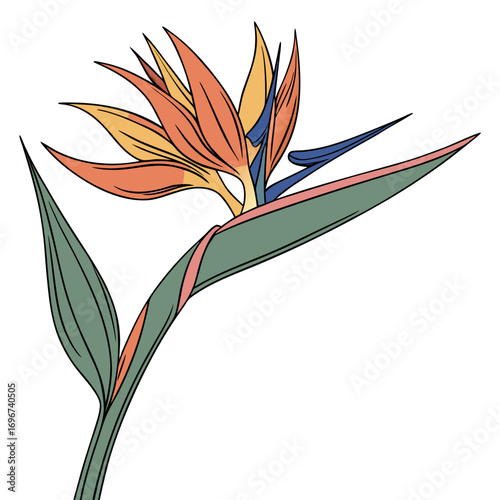 Bird of paradise flower with leaves