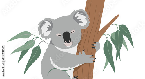 Adorable Koala Climbing Tree, Enjoying its Peaceful and Beautiful Eucalyptus Home