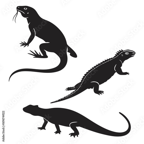 Three black silhouettes of lizards and iguanas on white background reptile animal