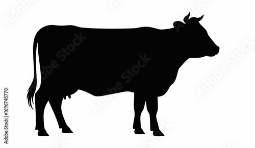 Scalable vector silhouette of a standing cow illustration for agricultural or livestock themed designs