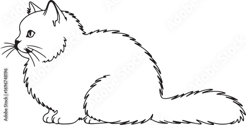 Black and white line drawing of a fluffy cat sitting feline animal
