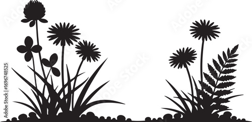 Black silhouette of wildflowers and ferns on a white background Keywords: silhouette, wildflower, fern, grass