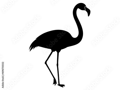 flamingo bird   black silhouette vector,flamingo icon