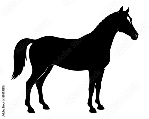 morgan horse  black silhouette vector,horse icon vector