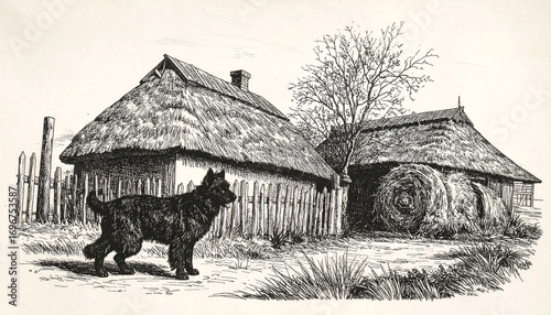 Black dog beside thatched farmhouses