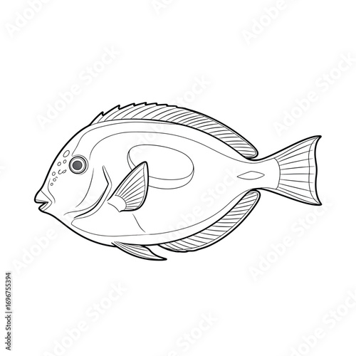 Minimalist blue tang fish line art illustration