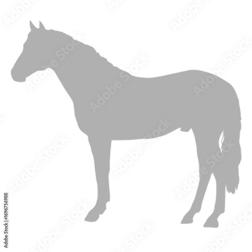 A detailed grey horse silhouette standing against a black background silhouette