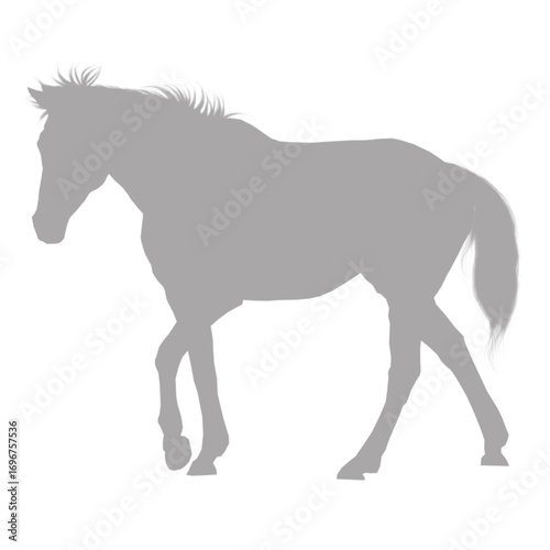 A majestic horse standing in profile silhouette