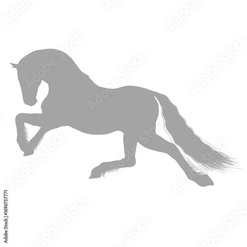 Elegant grey horse in motion silhouette