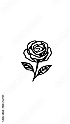 rosa