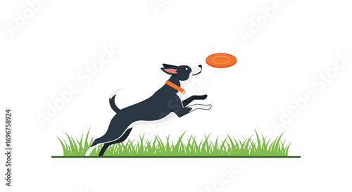 Dog Playing Frisbee, Capturing The Joyful Interaction During Playtime With A Fido Pal