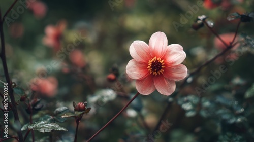 A delicate pink flower stands out amidst a blurred, lush green background, showcasing nature's beauty and tranquility.