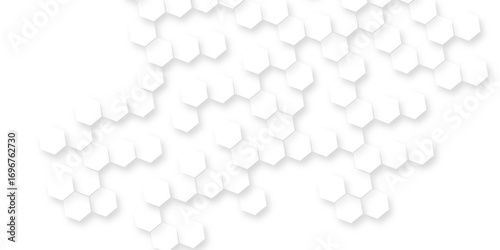 Abstract dynamic and elegant geometric patterns of White Hexagon Background with Subtle Geometric Pattern for Modern, Minimal, Clean Design Layouts.