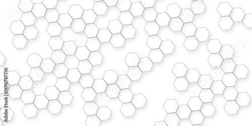 business concept abstract hexagon white abstract background with various arranging modern white hexagon patterns.