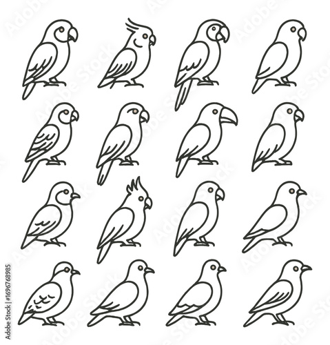 Collection of minimalist bird drawings featuring parrots and cockatoos
