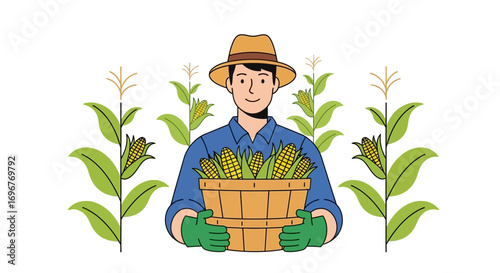 Farmer Harvesting Corn Crops in a Field, Agriculture, Production, and Cultivation Image