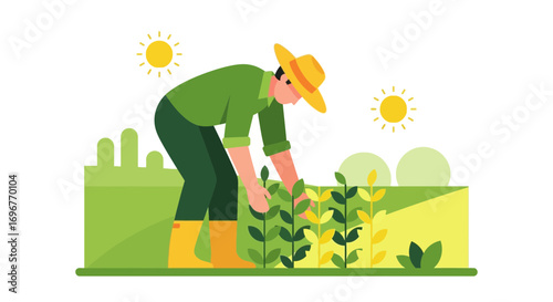 Farmer Harvesting Plants In Field, With Sunshine And Vibrant Agricultural Design