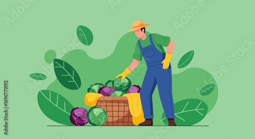 Farmer Harvests Cabbage in Garden, Vector Illustration with Fresh Produce and Nature