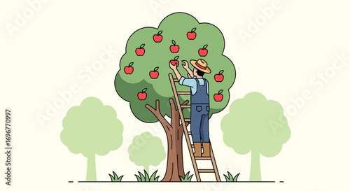 Harvesting Apples From The Tree With Green Leaves On The Sunny Day