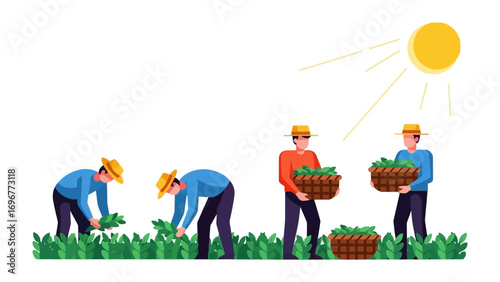 Farm Hands Gathering Harvest: A vibrant illustration depicts agricultural workers meticulously harvesting crops under a sun, showcasing dedication and the bounty of nature. 