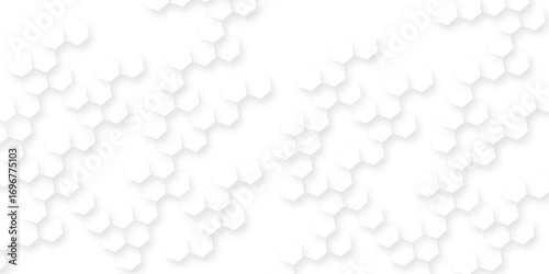 Business concept Clean white hexagon abstract empty smooth geometric hexagon background with geometric pattern creating modern minimal aesthetic for elegant design compositions and branding visuals.
