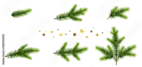 Set of Christmas Tree Branches with Golden Stars