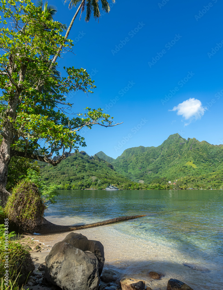 custom made wallpaper toronto digitalVaihere à Opunohu sur l'île de Mo'orea en Polynésie