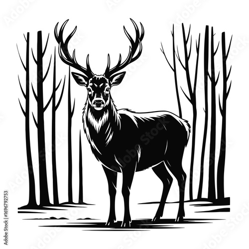 silhouette of a deer