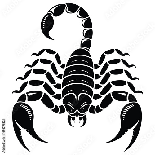 scorpion vector illustration