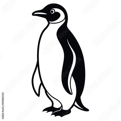 Black and white penguin standing on a white background animal bird