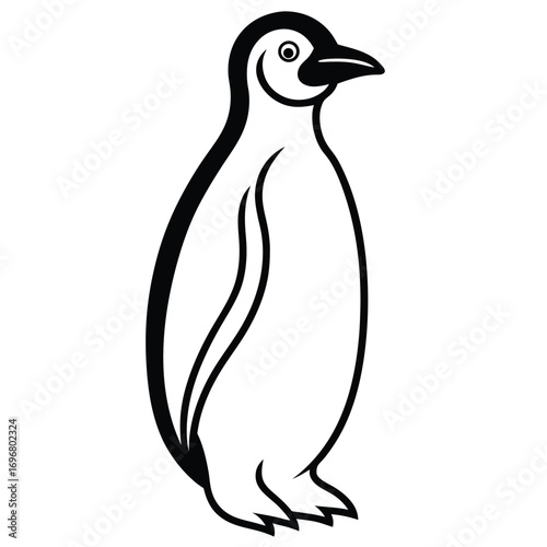 Black and white penguin illustration on white background animal bird